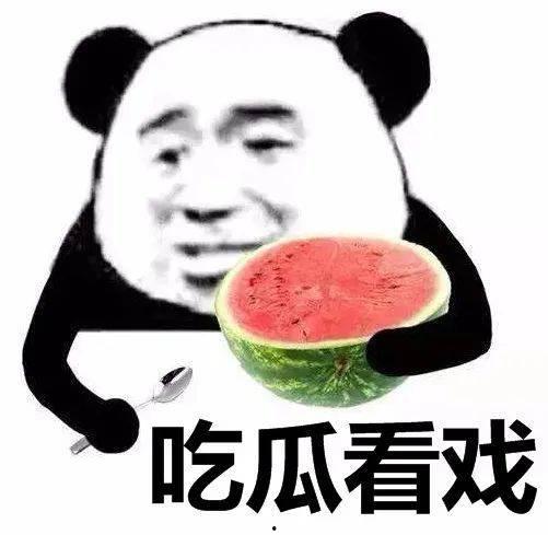 娱乐吃瓜酱蠢人,蠢人生涯的趣味解读
